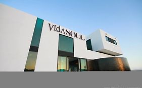 Vidasoul